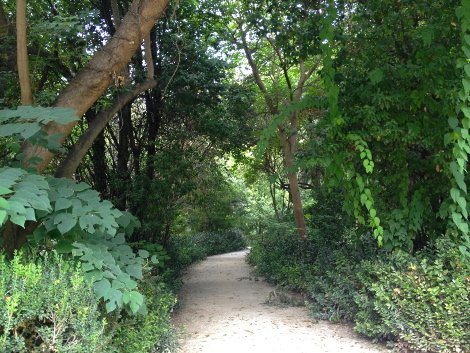 Πώς και γιατί ο Καμίνης θα καταστρέψει τον Εθνικό Κήπο [εικόνες] | iefimerida.gr 2