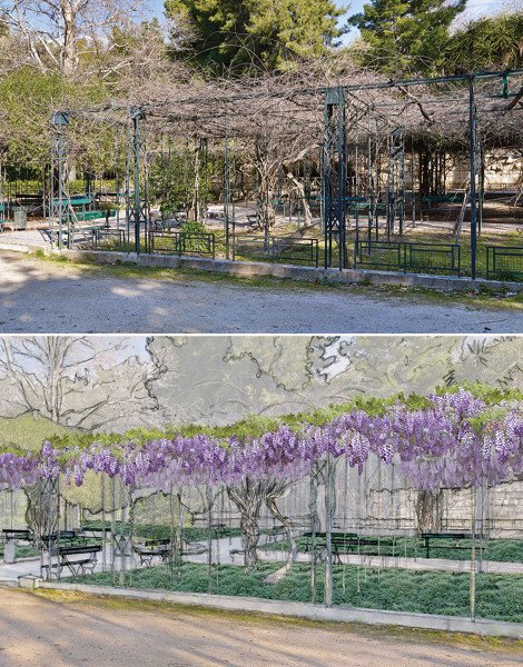 Πώς και γιατί ο Καμίνης θα καταστρέψει τον Εθνικό Κήπο [εικόνες] | iefimerida.gr 13