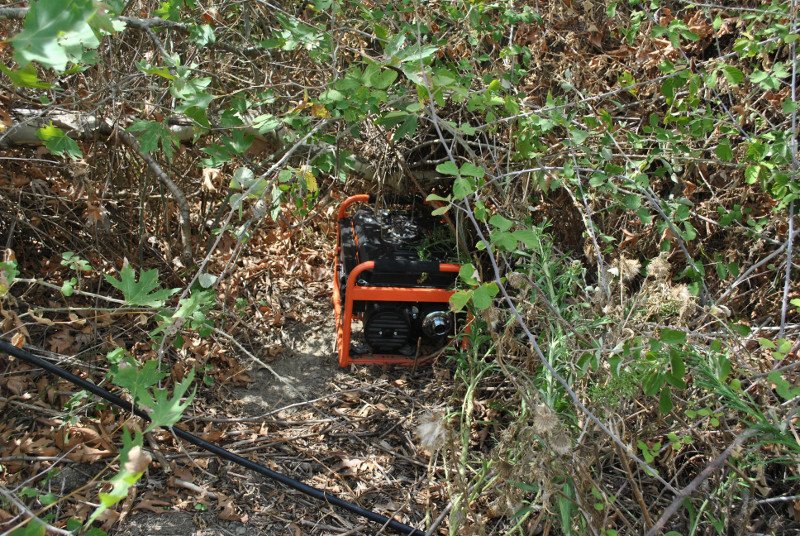 Λαμία: Εντοπίστηκε φυτεία με 60 δενδρύλλια κάνναβης -2 συλλήψεις [εικόνες] | iefimerida.gr 2