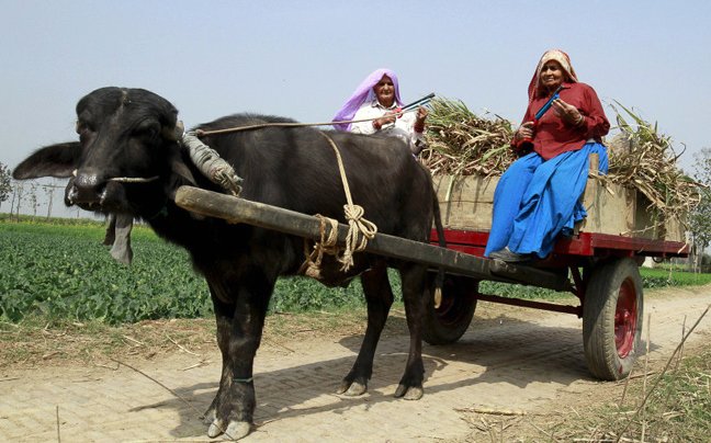  Το δίδυμο της συμφοράς – Οι γιαγιάδες πιστολέρο της Ινδίας [εικόνες]  | iefimerida.gr 2