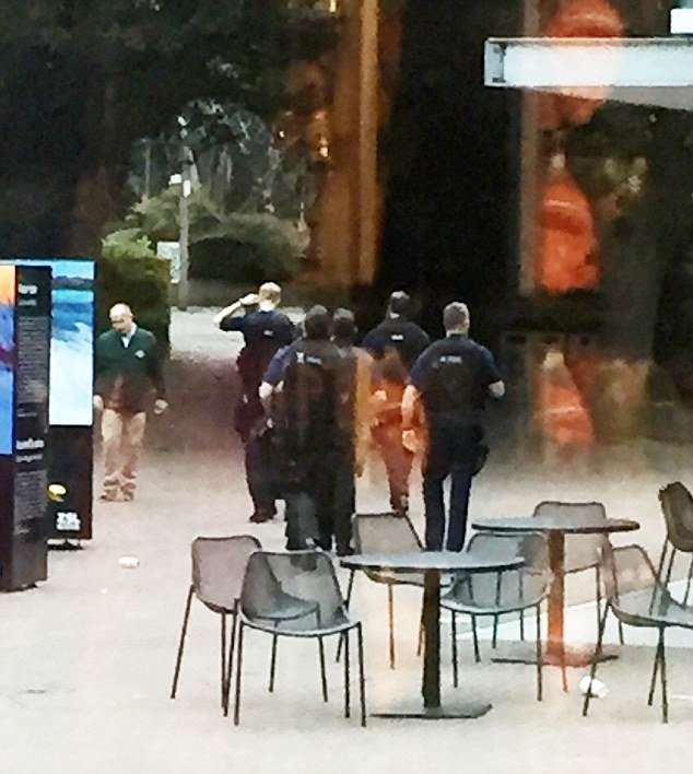 Τρόμος σε ζωολογικό κήπο στο Λονδίνο -Γορίλας σπάει το κλουβί του και κυκλοφορεί ελεύθερος [βίντεο]  | iefimerida.gr 1