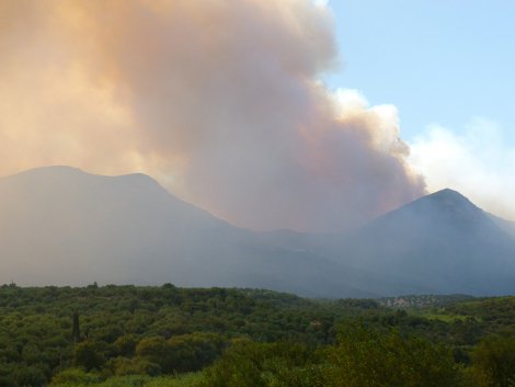 Συνεχίζει το καταστροφικό της έργο η φωτιά στη Μεσσηνία [βίντεο & εικόνες] | iefimerida.gr 1