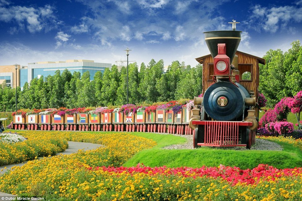 Μια ανθισμένη έρημος –45 εκατομμύρια λουλούδια στη μέση του πουθενά [εικόνες]  | iefimerida.gr 1