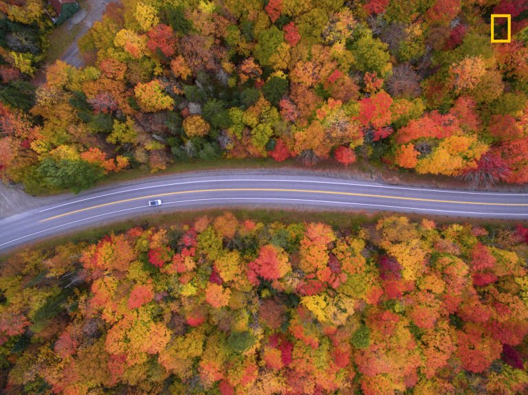 10 από τις συναρπαστικότερες φωτογραφίες του φετινού διαγωνισμού του National Geographic [εικόνες] | iefimerida.gr 0