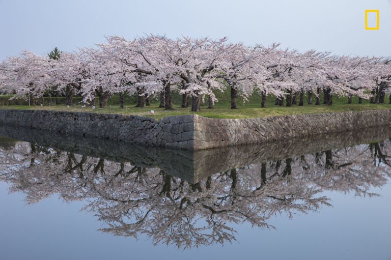 10 από τις συναρπαστικότερες φωτογραφίες του φετινού διαγωνισμού του National Geographic [εικόνες] | iefimerida.gr 1
