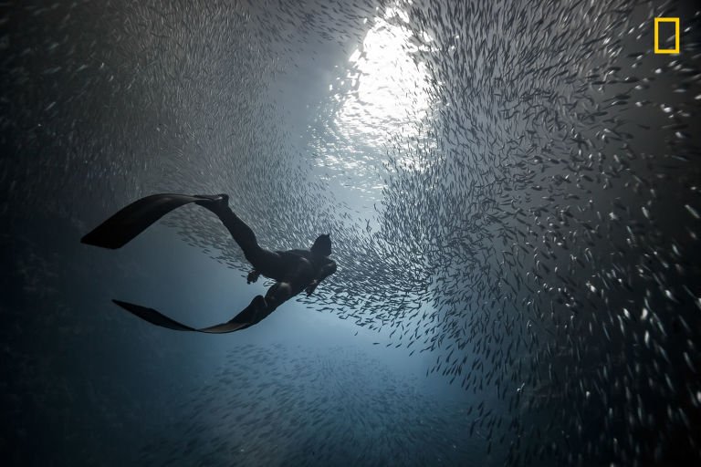 10 από τις συναρπαστικότερες φωτογραφίες του φετινού διαγωνισμού του National Geographic [εικόνες] | iefimerida.gr 3