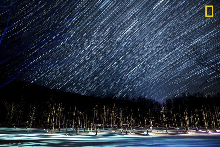 10 από τις συναρπαστικότερες φωτογραφίες του φετινού διαγωνισμού του National Geographic [εικόνες] | iefimerida.gr 6