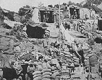 Η Λήμνος τιμά τους νεκρούς της στη Μάχη της Καλλίπολης κατά τον Α' Παγκόσμιο Πόλεμο [εικόνες]  | iefimerida.gr 3