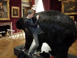 Ολα για την τέχνη -Εκκεντρικός καλλιτέχνης κοιμάται και τρέφεται μέσα στο κουφάρι μιας αρκούδας [εικόνες] | iefimerida.gr 0