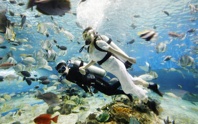 Γάμοι που έγραψαν ιστορία-Εκεί που η αγάπη μπορεί να φτάσει έως τον ουρανό (κυριολεκτικά) [εικόνες] | iefimerida.gr 8