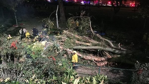 Μητέρα της νύφης βρήκε τραγικό θάνατο από πτώση δέντρου την ώρα του γάμου [βίντεο] | iefimerida.gr 0