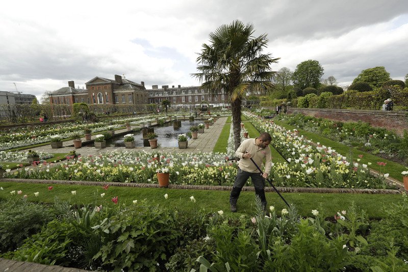 Ο «Λευκός Κήπος» της Νταϊάνα: 12.000 λουλούδια στο παλάτι Κένσινγκτον, στη μνήμη της πριγκίπισσας [εικόνες] | iefimerida.gr 0