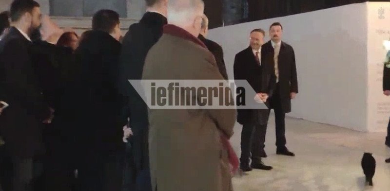 Η γάτα είναι απόλυτα εξοικειωμένη, αφού είναι της Αγιάς Σοφιάς. Εκεί μεγάλωσε και εκεί μένει