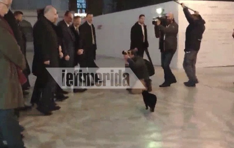 Η γάτα είδε κόσμο στην Αγιά Σοφιά και έσπευσε να πλησιάσει