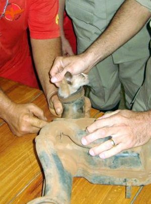 Το αυτοκίνητο δεν είχε βλάβη αλλά... ένα γατάκι στον κινητήρα [εικόνες] | iefimerida.gr 5