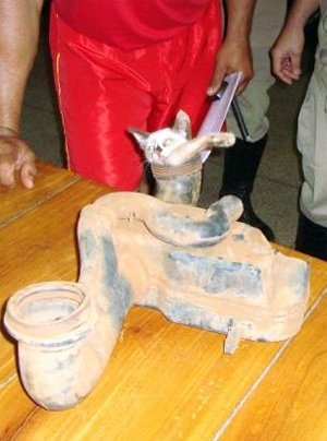 Το αυτοκίνητο δεν είχε βλάβη αλλά... ένα γατάκι στον κινητήρα [εικόνες] | iefimerida.gr 6