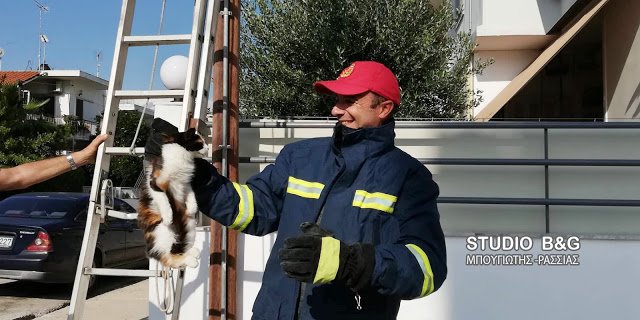 Τελικά κατάφεραν να την απεγκλωβίσουν.