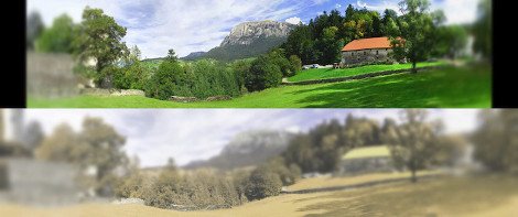 Μοναδικό: Ετσι βλέπουν τον κόσμο οι γάτες [εικόνες] | iefimerida.gr 1