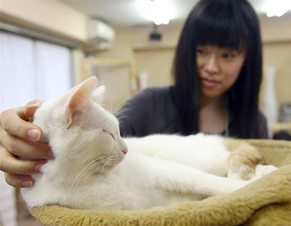 Αυτά είναι τα πιο παράξενα εστιατόρια του κόσμου [εικόνες] | iefimerida.gr 4