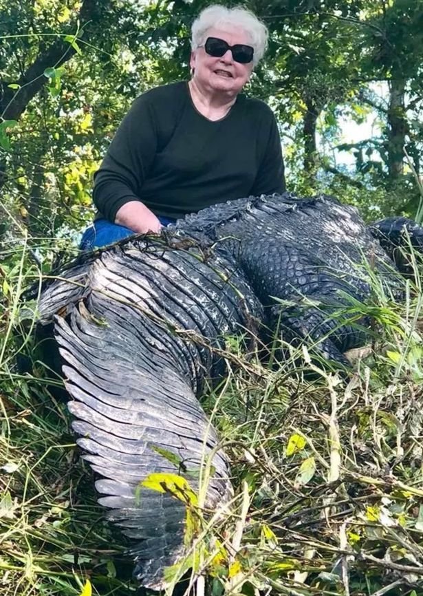 Τέξας: Γιαγιά-Ράμπο σκότωσε μια μια βολή αλιγάτορα -Είχε φάει το αλογάκι της [εικόνες]  | iefimerida.gr 1