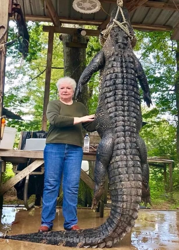 Τέξας: Γιαγιά-Ράμπο σκότωσε μια μια βολή αλιγάτορα -Είχε φάει το αλογάκι της [εικόνες]  | iefimerida.gr 2