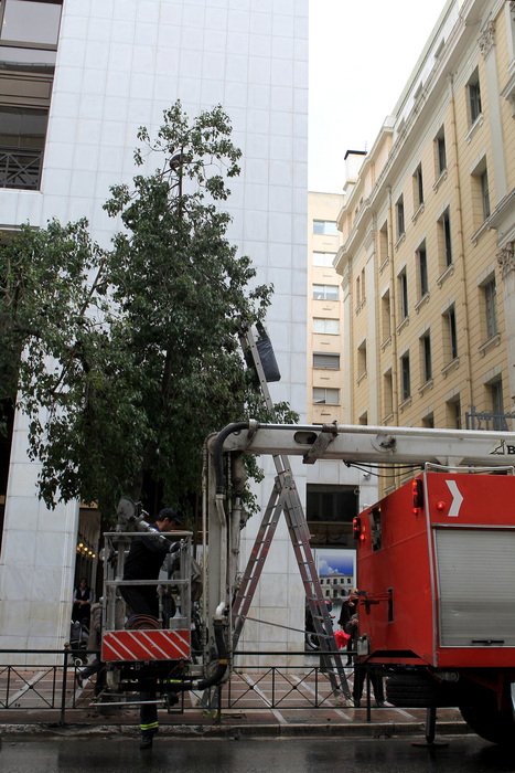 Ενας παράτολμος γάτος σώζεται με την βοήθεια της πυροσβεστικής στην Σταδίου [εικόνες] | iefimerida.gr 1