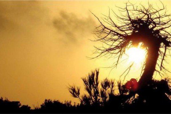 Η Γαύδος τη νύχτα -Το οδοιπορικό Κρητικού φωτογράφου στη νοτιότερη γωνιά  της Ελλάδας [εικόνες] | iefimerida.gr 0