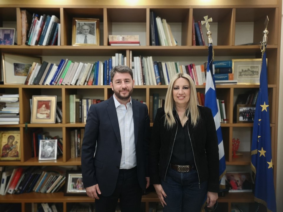 Νίκος Ανδρουλάκης και Φώφη Γεννηματά κατά την συναντησή τους