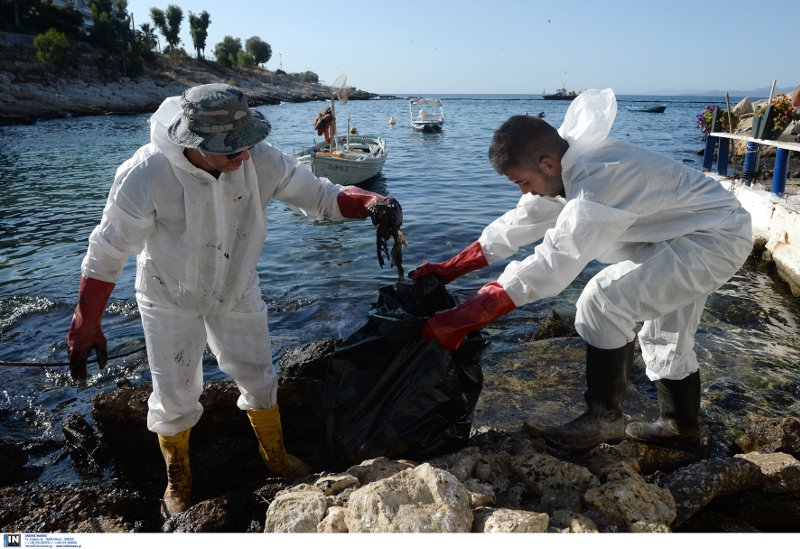 Στην Πειραϊκή η Γεννηματά: Μεγάλες οι ευθύνες της κυβέρνησης για την καταστροφή του Σαρωνικού | iefimerida.gr 3