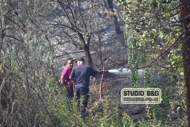 Kινδύνεψε από πυρκαγιά στην Αργολίδα το σπίτι της αδερφής της Φώφης Γεννηματά [εικόνες & βίντεο] | iefimerida.gr 0