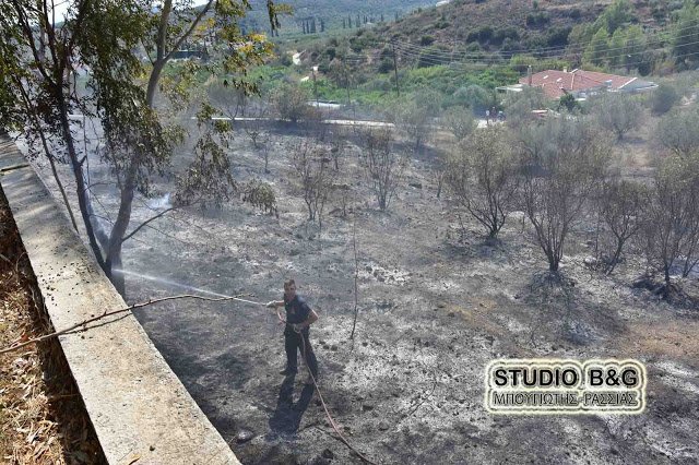 Kινδύνεψε από πυρκαγιά στην Αργολίδα το σπίτι της αδερφής της Φώφης Γεννηματά [εικόνες & βίντεο] | iefimerida.gr 1