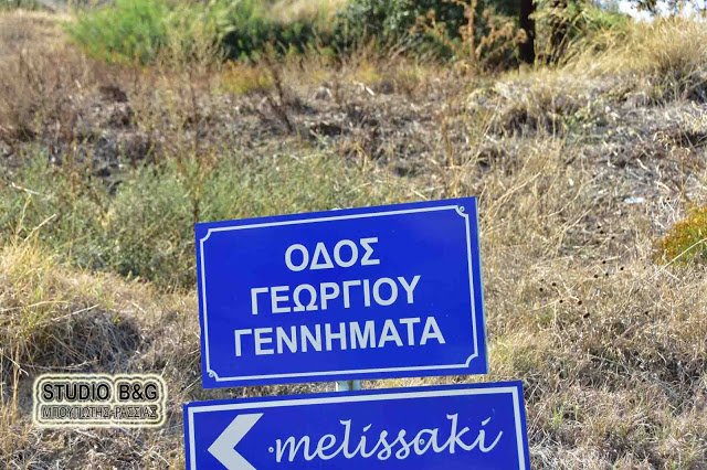 Kινδύνεψε από πυρκαγιά στην Αργολίδα το σπίτι της αδερφής της Φώφης Γεννηματά [εικόνες & βίντεο] | iefimerida.gr 2