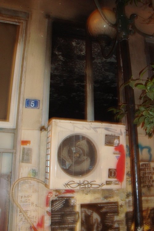 Μολότοφ στο βιβλιοπωλείο του Άδωνι Γεωργιάδη [εικόνες] | iefimerida.gr 0