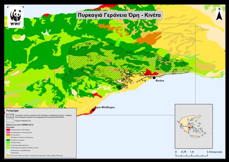 Περιβαλλοντικές οργανώσεις: Τα δάση γίνονται πιο ευάλωτα λόγω της κλιματικής αλλαγής -«Πάρτε μέτρα» | iefimerida.gr 0