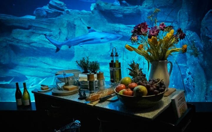 Παριζιάνικο διαμέρισμα κάτω από το νερό -Υπνος δίπλα στους καρχαρίες [εικόνες & βίντεο] | iefimerida.gr 0