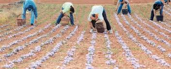 Οι επτά τομείς της οικονομίας που οι εργοδότες σχεδιάζουν προσλήψεις στο επόμενο τρίμηνο [λίστα] | iefimerida.gr 1