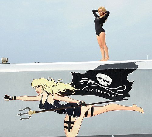 H Πάμελα Άντερσον ως ναυαγοσώστρια φαλαινών [εικόνες+βίντεο]  | iefimerida.gr 3