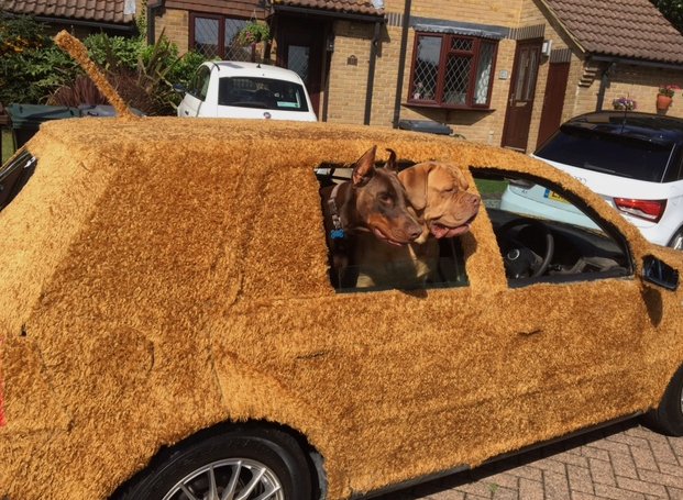 Το πρώτο γούνινο αυτοκίνητο είναι γεγονός -Το «έντυσε» άνδρας για να πηγαίνει βόλτα τα κατοικίδιά του [εικόνες] | iefimerida.gr 1