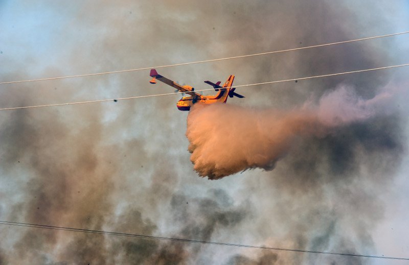 Γιάννενα: Ανεξέλεγκτη η πυρκαγιά κοντά στον οικισμό του Ασβεστοχωρίου- Πλησίασε σπίτια [εικόνες&βίντεο] | iefimerida.gr 4