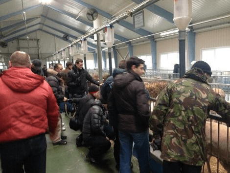 Oι... Βερσαλλίες του Γιανουκόβιτς σε προάστιο του Κιέβου -Μίνι ζωολογικός κήπος στην προεδρική κατοικία [εικόνες] | iefimerida.gr 10