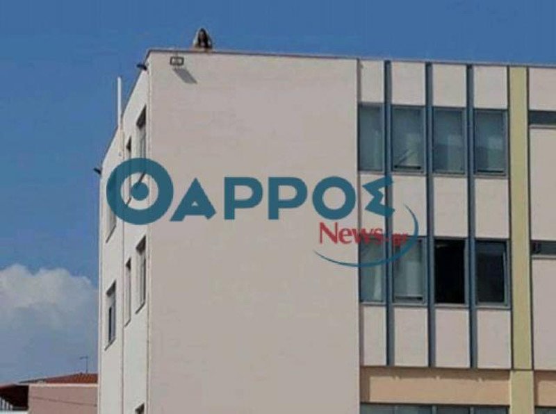 Συμβασιούχος απειλούσε να αυτοκτονήσει από την ταράτσα του Δημαρχείου Καλαμάτας | iefimerida.gr 0