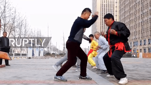 «Κουνγκ Φου του Σιδερένιου Καβάλου»: Δέχονται χτυπήματα στα απόκρυφα για λόγους... υγείας [βίντεο] | iefimerida.gr 0