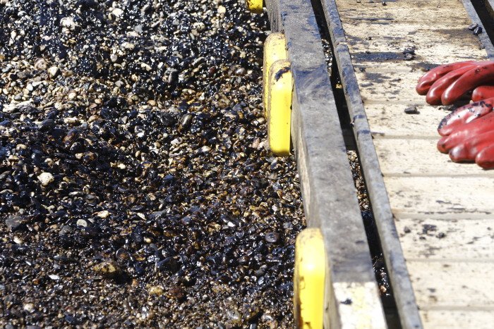 Κι όμως, κάποιοι κολυμπούν στις «μαύρες» πλαζ -Αποκαρδιωτική εικόνα στη Γλυφάδα [εικόνες] | iefimerida.gr 2