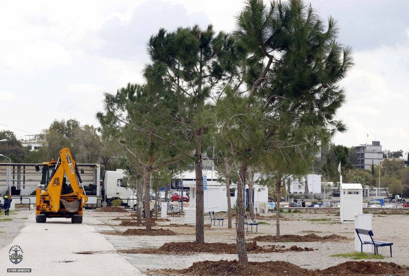 Η Γλυφάδα γίνεται μία «πράσινη» πόλη -Μεγάλα δέντρα και φυτά σε Γκολφ, παραλία και πλατείες  [εικόνες] | iefimerida.gr 4