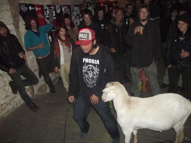 Θρήνος από το χαμό της Biquette της πανκ ροκ κατσίκας -Επαιζε «ξύλο» στην πρώτη σειρά σε κάθε συναυλία [εικόνες&βίντεο] | iefimerida.gr 1