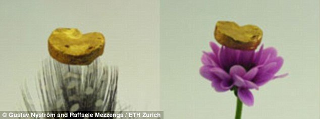 Χρυσός 20 καρατίων τόσο ελαφρύς που επιπλέει στο νερό [εικόνες & βίντεο] | iefimerida.gr 1