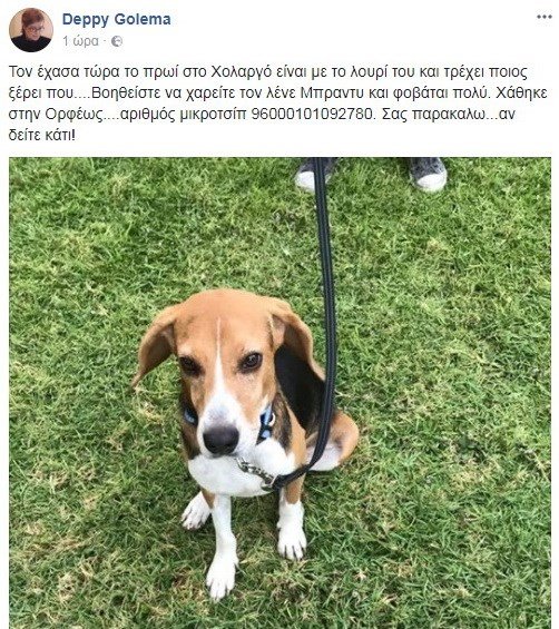 Η Ντέπυ Γκολεμά έχασε τον σκύλο της -Η έκκλησή της [εικόνα] | iefimerida.gr 0