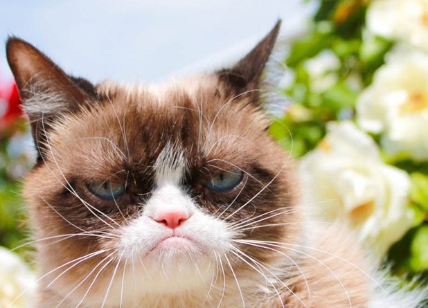 Τα 6 μυστικά των γυναικών για σούπερ χαρούμενη διάθεση [εικόνες] | iefimerida.gr 5