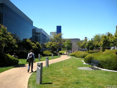 Τι τρώνε, δωρεάν, οι υπάλληλοι της Google: Μια εταιρεία-θαύμα [εικόνες] | iefimerida.gr 8