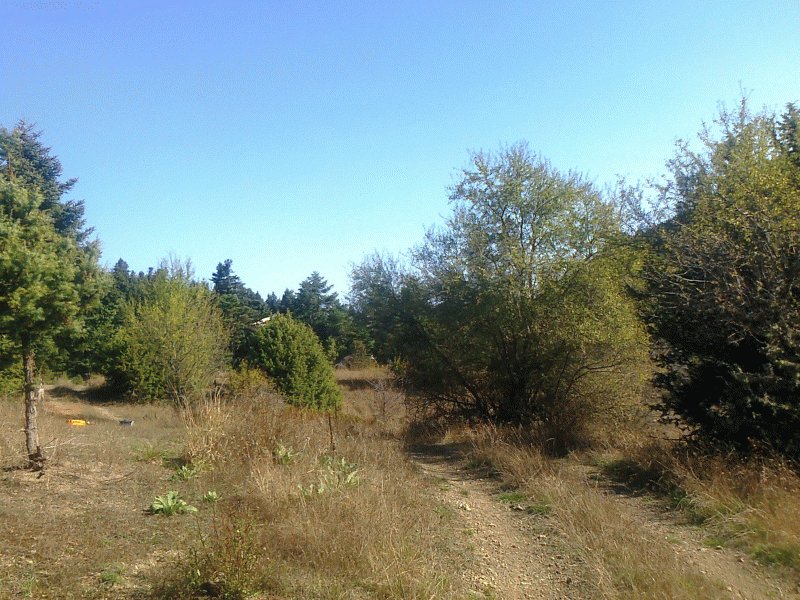 Το Δημόσιο ξεπουλάει: Αρχοντικά, ξενοδοχεία, οικόπεδα και βιομηχανικοί χώροι βγαίνουν στο σφυρί [εικόνες] | iefimerida.gr 9